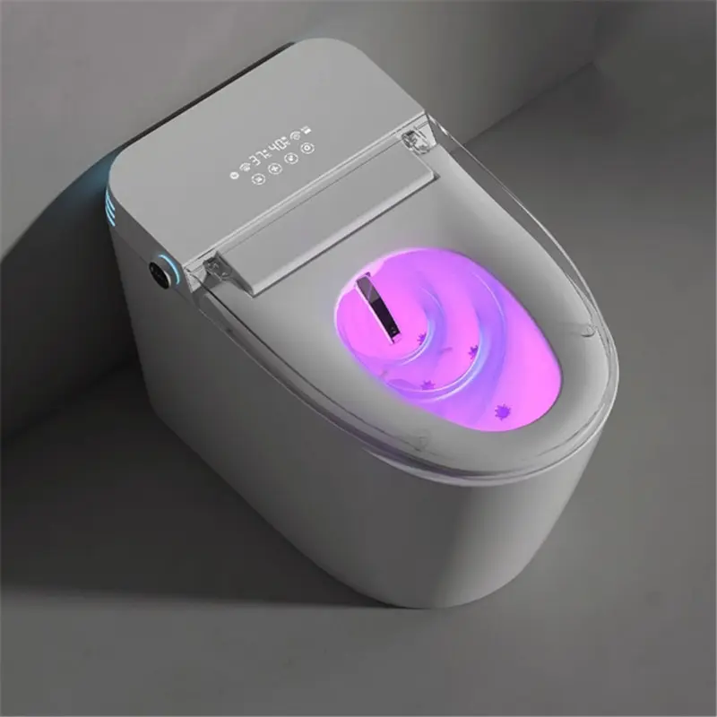Smart Toilet Selection: Style, Features, Safety, and Practicality Key.