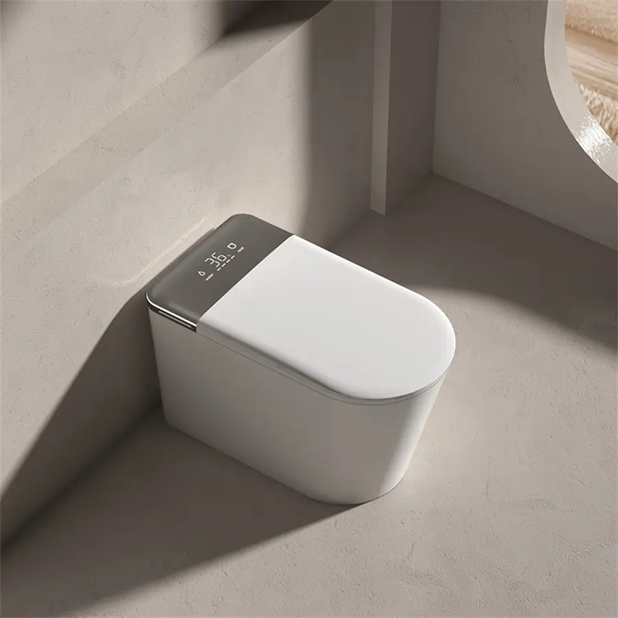 Are $100 Toilets Good?