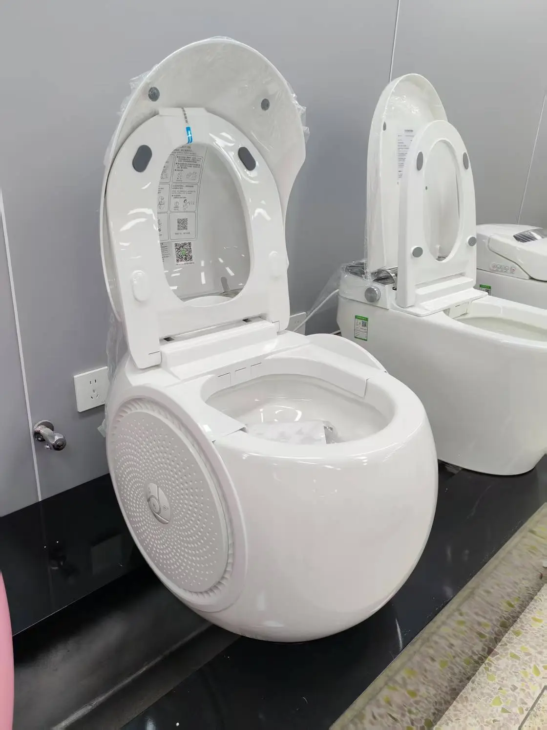 Which Type of Toilet is Best?