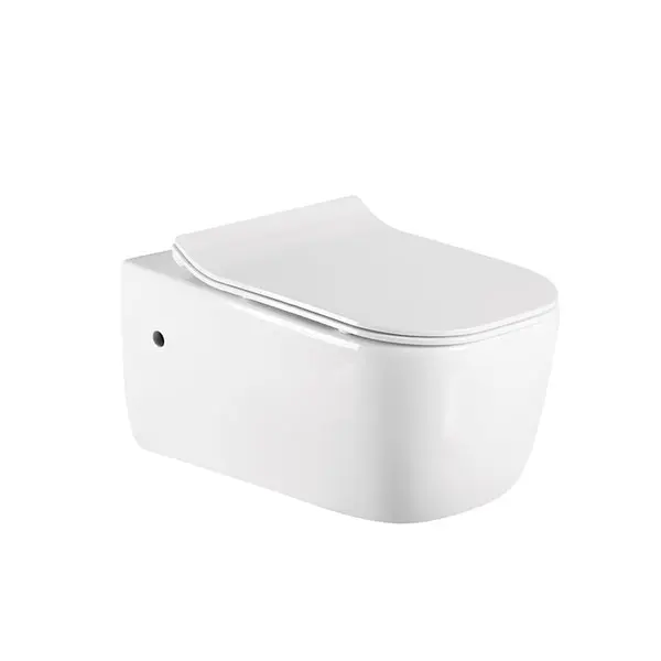 China Exporter of Small Rimless Wall Mounted Toilets