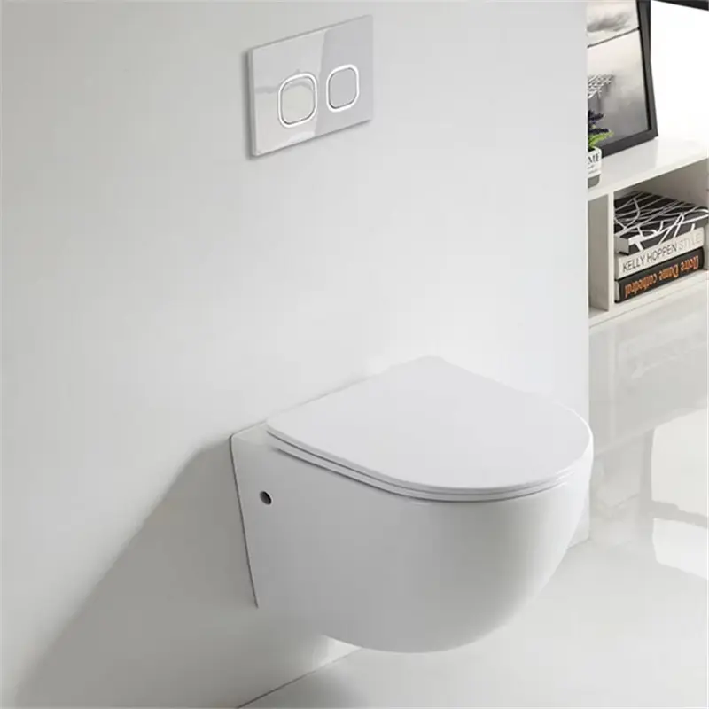 Which Country Likes To Use Wall Mounted Toilets?
