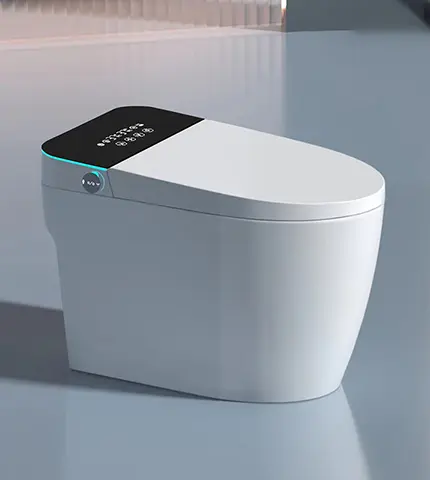 Smart toilet2