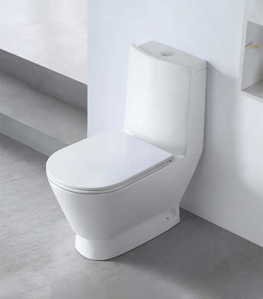 One piece toilets2